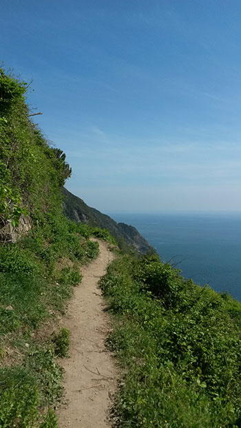 Weg durch eine Landschaft